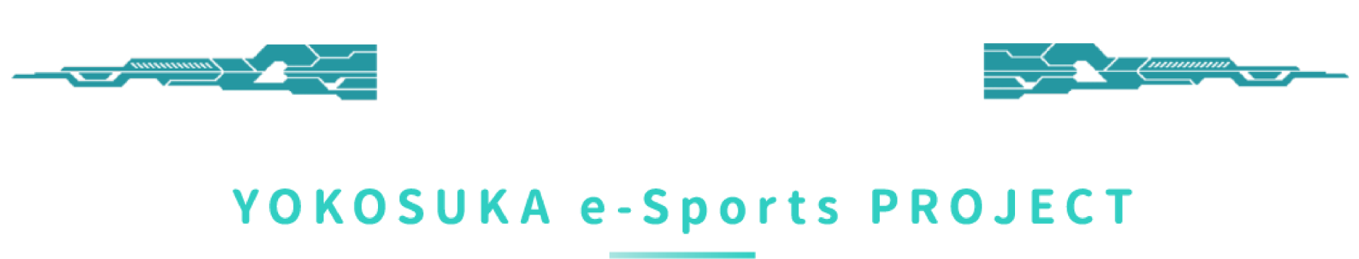 YOKOSUKA e-Sports PROJECTとは